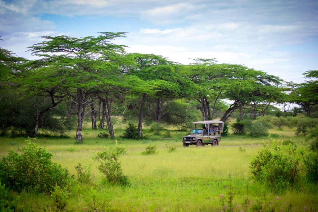Voiture Safari